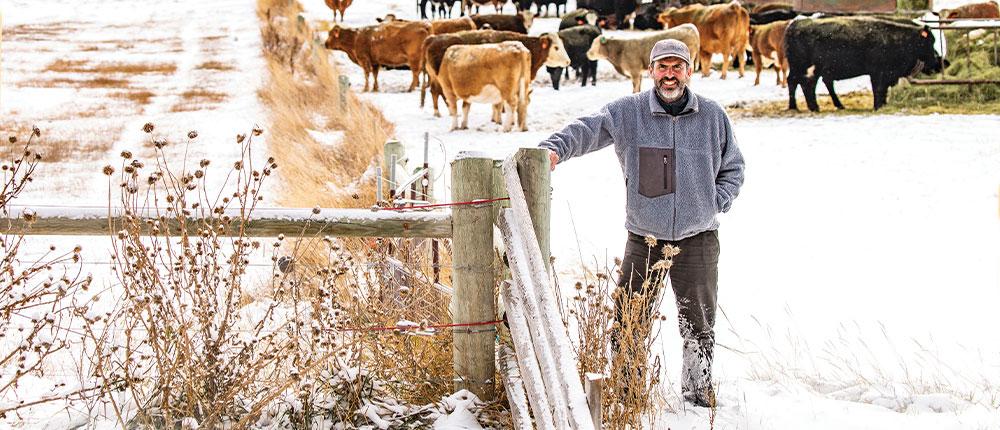 Man standing by fence and cattle, with a light dusting of snow on the ground